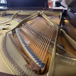 1982 Yamaha C5 Conservatory Grand, American Walnut - Grand Pianos